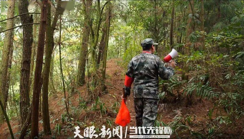 最美生态护林员周德财甘心做家乡的护林使者