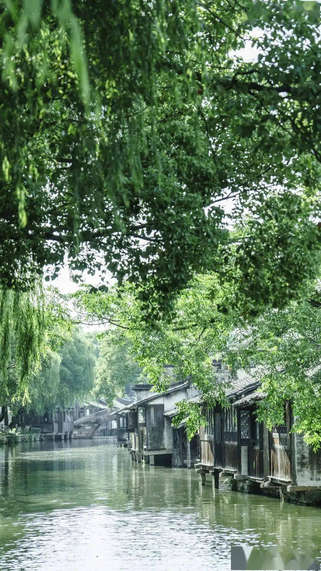 桐乡人稳住,即将冲破30℃!_气温_阳气_晴到多云