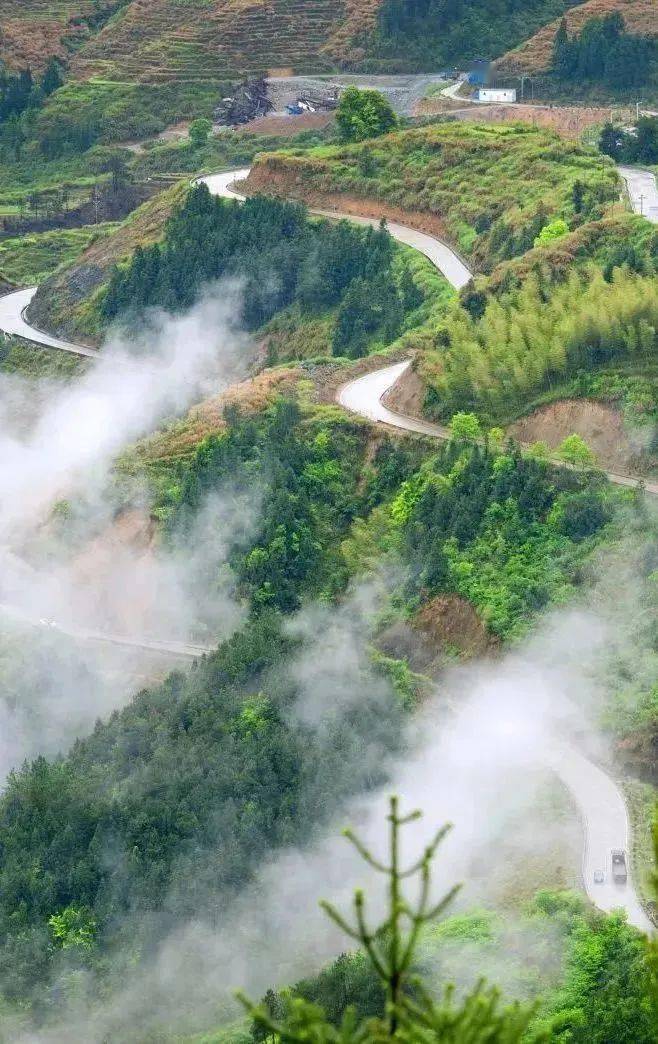 行走山海间丨私藏的2条路线带你玩转春天的公路