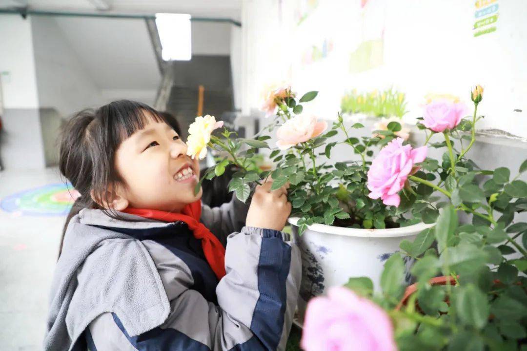 投票请你来选一选天元最美校花