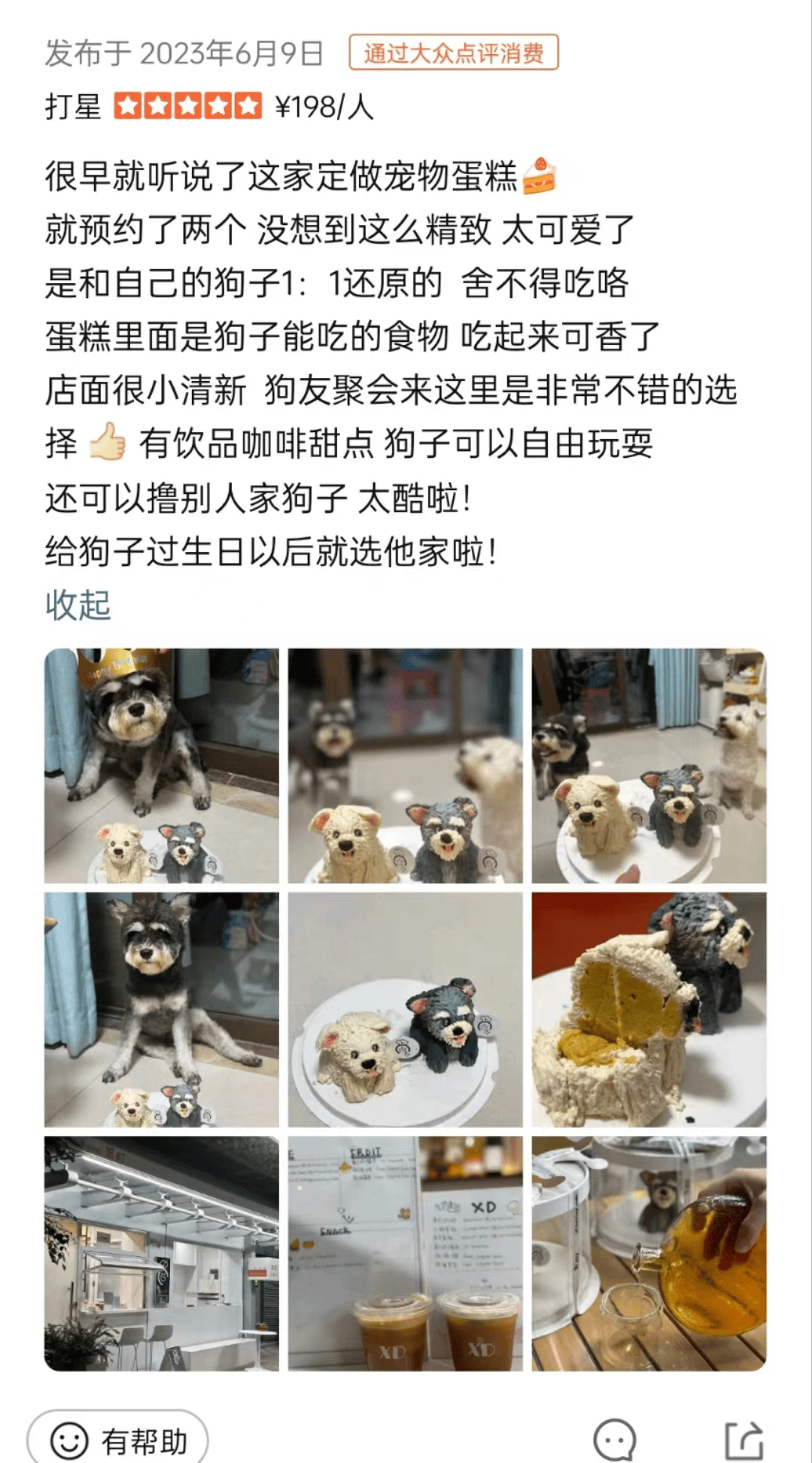 为狗定制生日蛋糕带猫拍全家福深圳兴起养儿式养宠