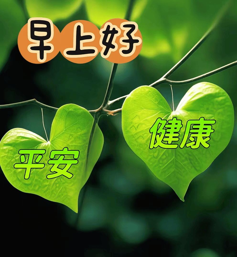 2024年3月21日最新早上好祝福语图片大全