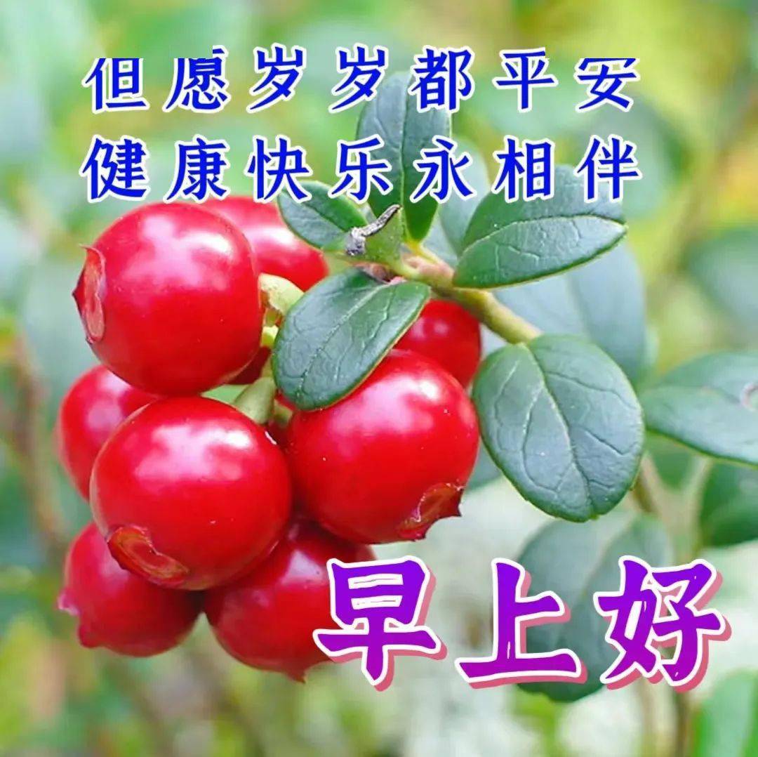 2024年3月21日最新早上好祝福语图片大全,唯美早安温馨问候集锦