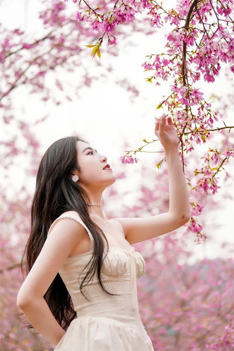 散射光下拍樱花人像_人物_画面_效果