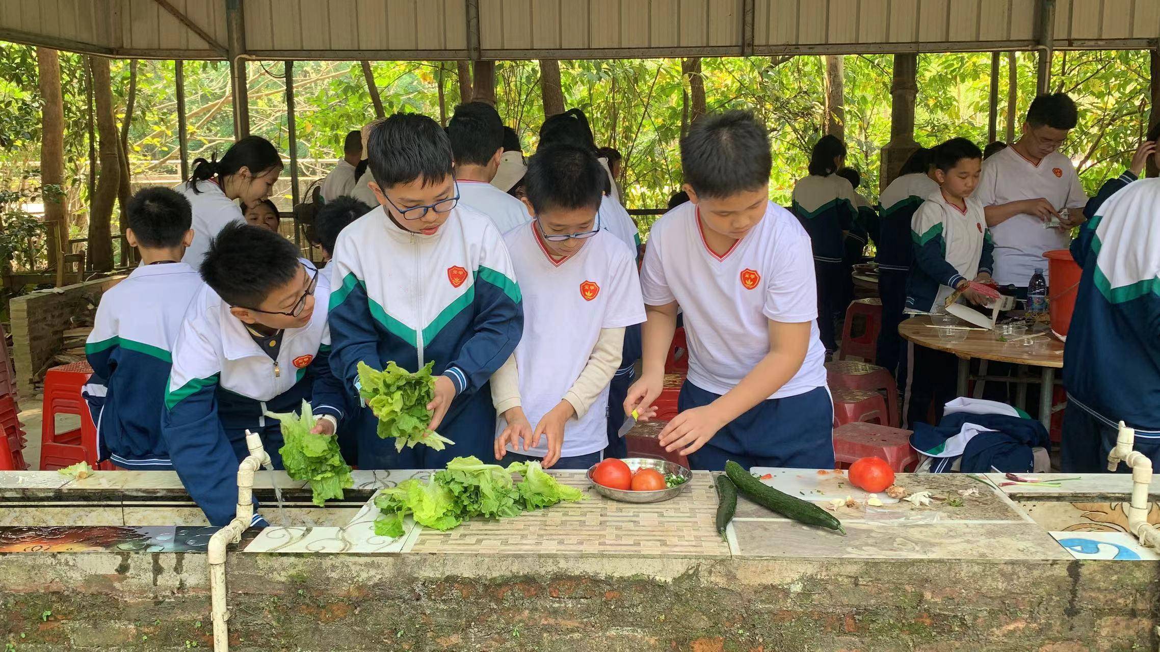 元甲学校图片