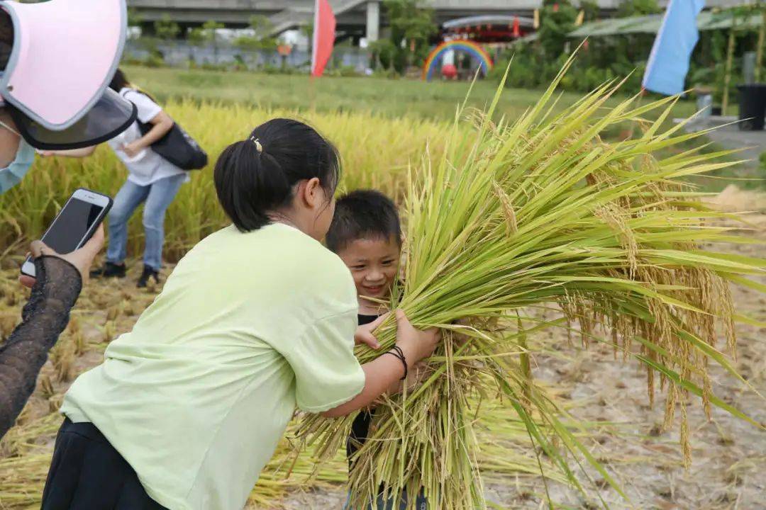 省级荣誉 1,东江印象园获"中小学生研学实践教育基(营)地"称号_农业