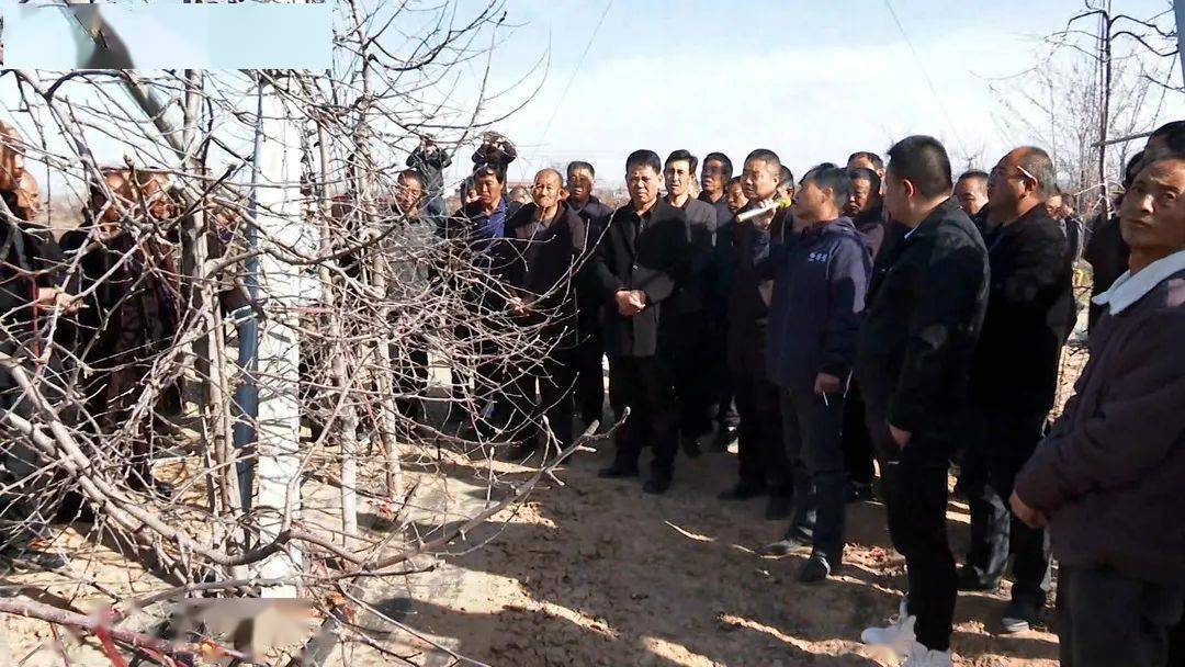 黄陵县召开2024年农民果业技术员聘任暨苹果绿色高产高效培训会议