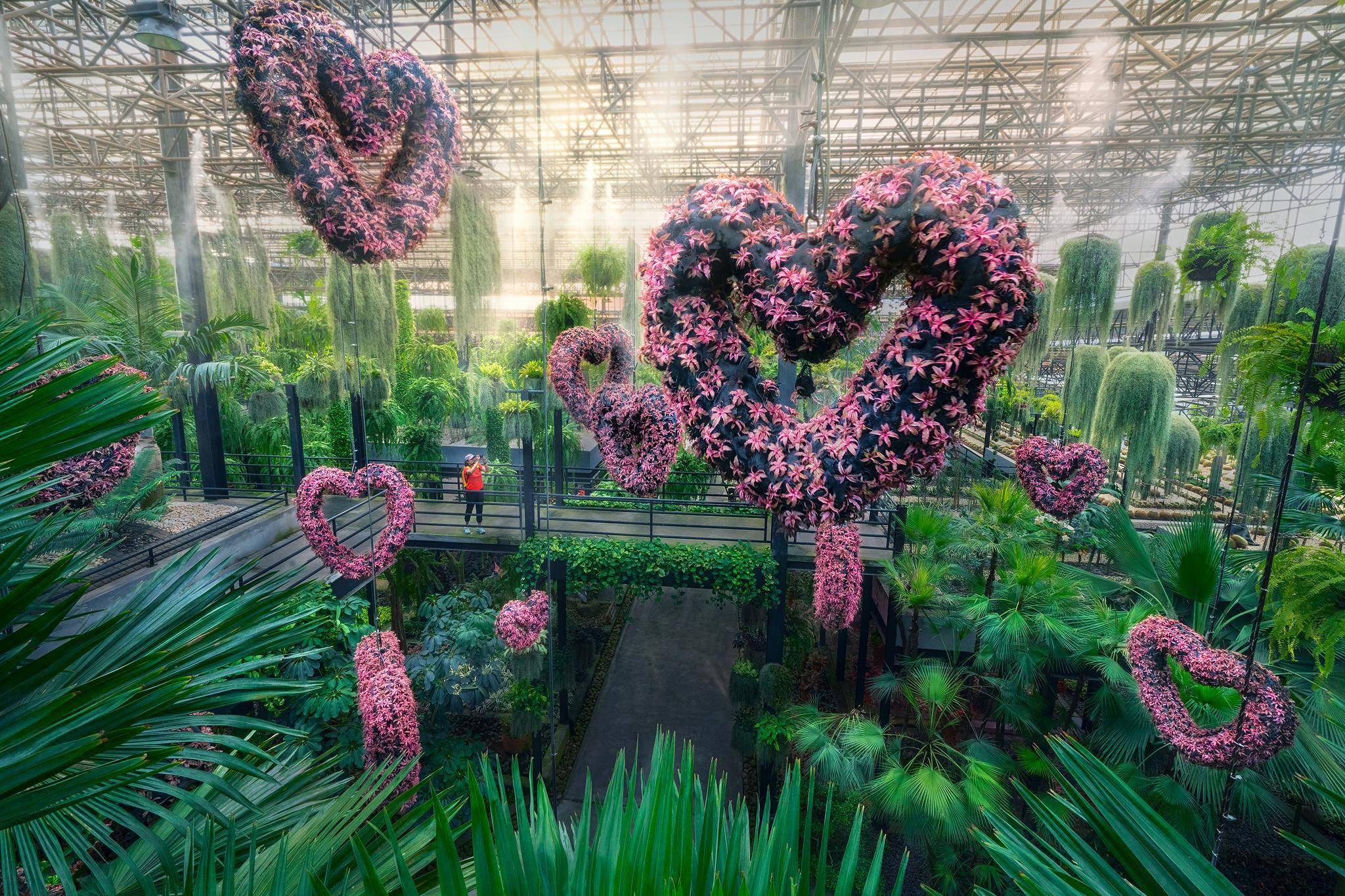 是世界上十大最美丽的花园之一,由泰国大富豪,泰籍华人王金亮先生创办