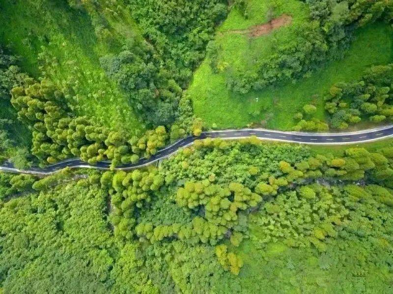 三遺之都渝快之旅重慶朋友這個週末渝都動車開通了總要來一趟都江堰賞