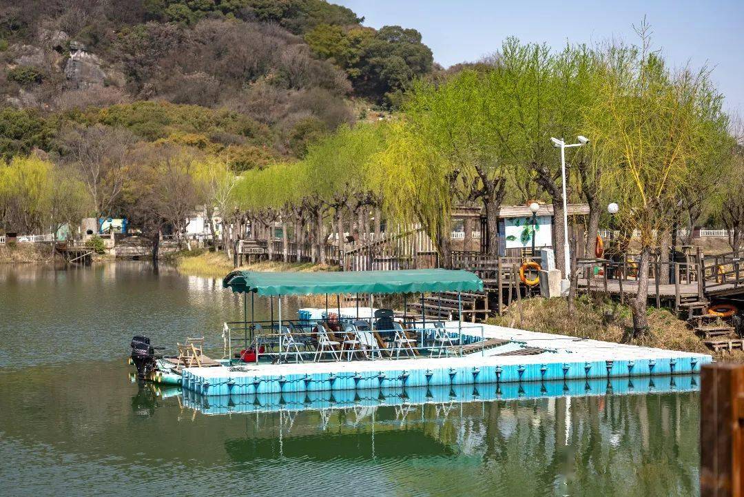 油菜花已开,等你来入镜~_三山岛_门票_玉兰