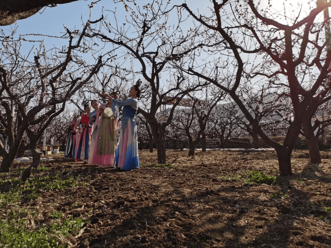 文旅邹平这个周六杏花节走起