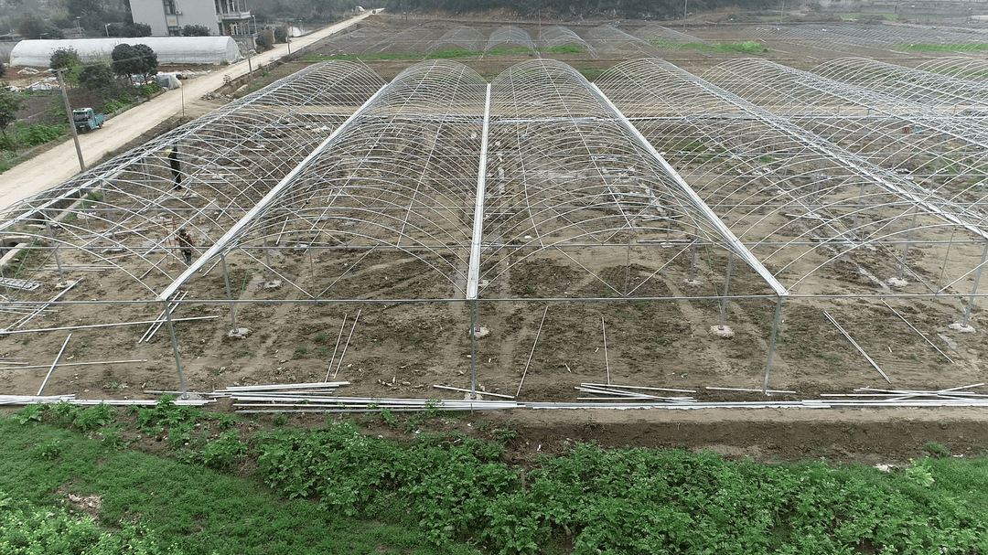 江永集中育秧促春耕设施大棚助增收