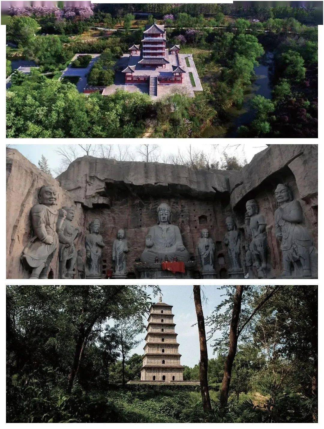 郑州惠济区发出邀请——_花园_气息_梦幻