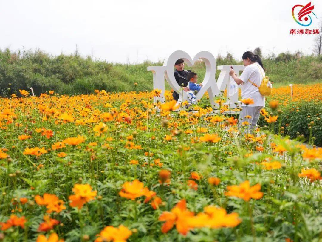 花海 骑行 露营!在九江网红打卡点"浪"起来