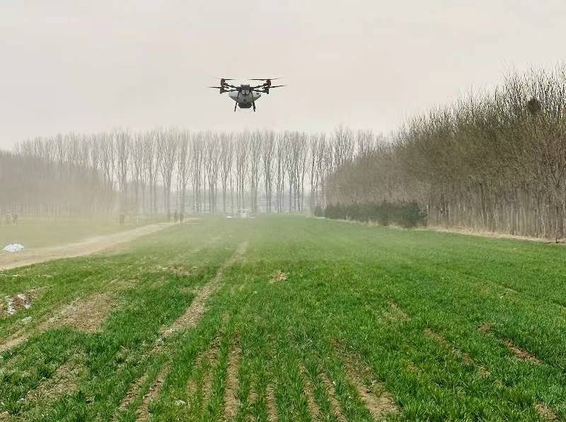 组织小麦无人机撒肥"三新"技术观摩,指导农户做好麦苗返青期施肥管理