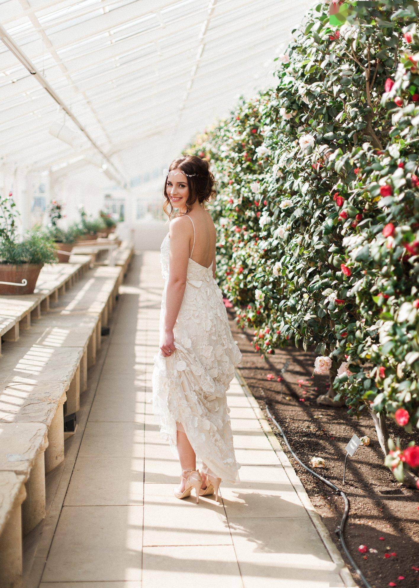 春游惠玩季2024年海外5大爆款踏青赏花地攻略来袭