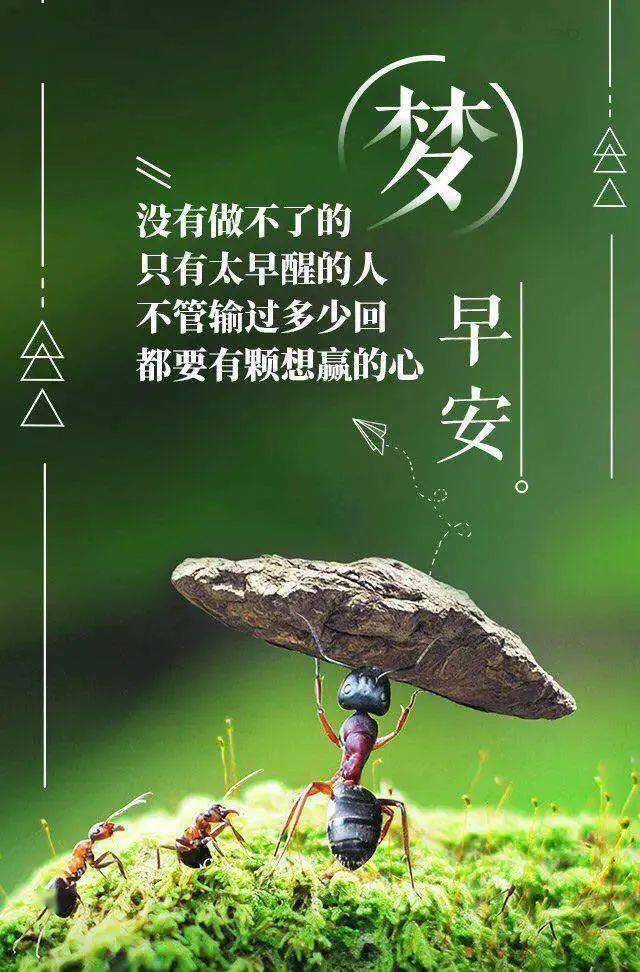 激励人生的正能量短文越努力越幸运(激励人生的正能量短文越努力越幸运的句子)