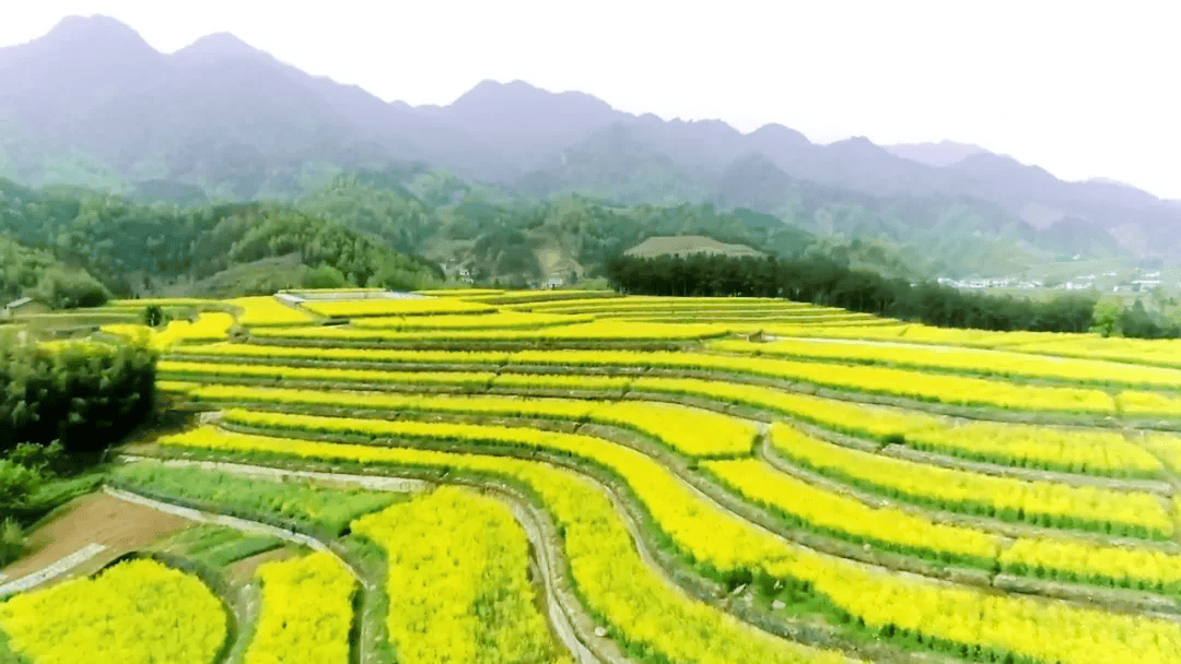 日观春色斑斓夜览灯火如灿人民日报推荐的这个地方值得去