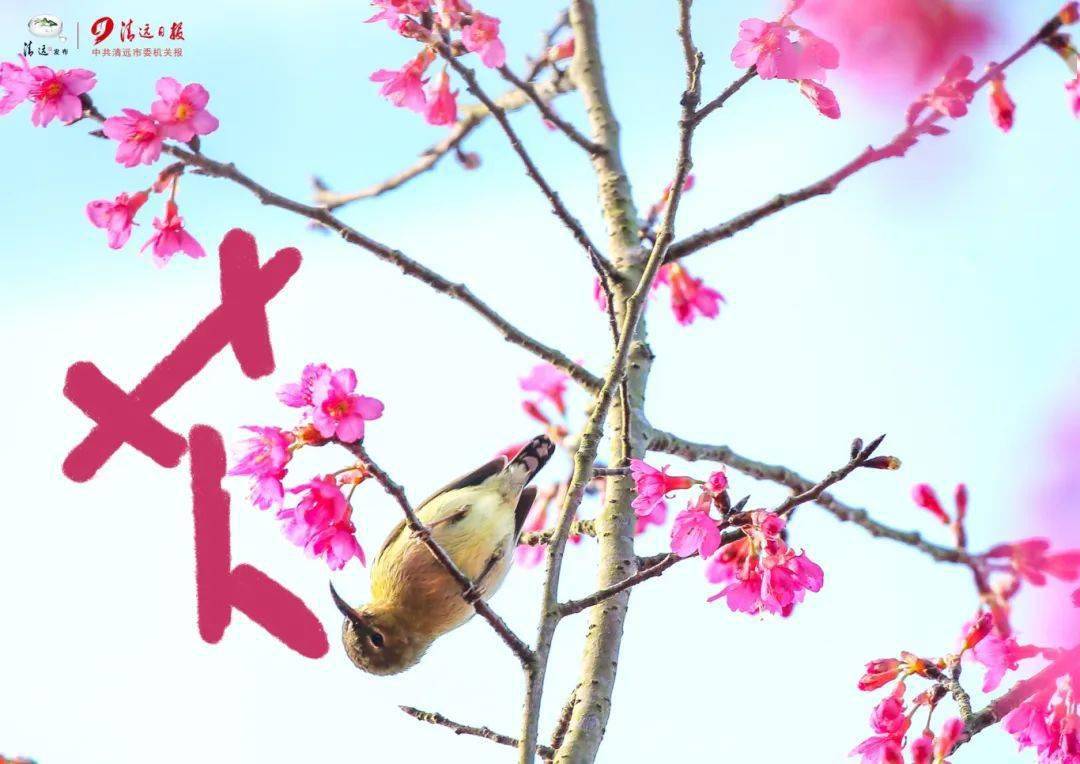 一起"趣"涂鸦清远的春天_日报_连州市_谭清梅