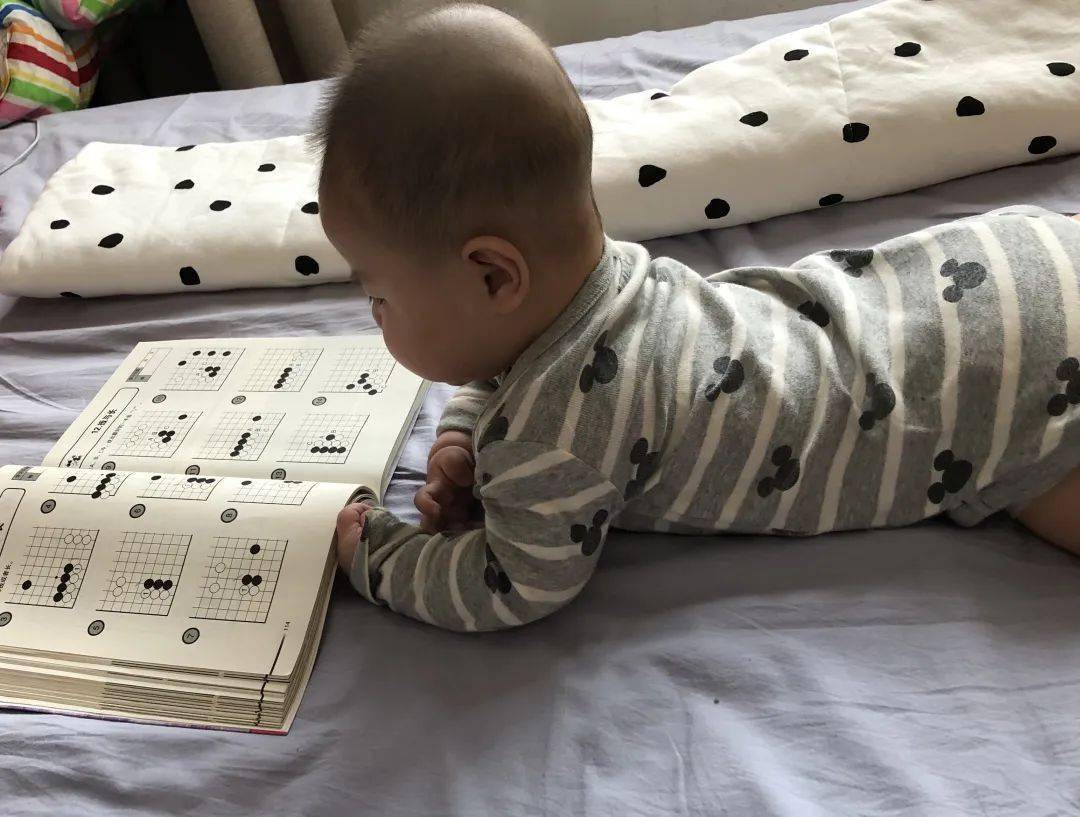 儿子的棋友·增强版_围棋_爸爸_犬子