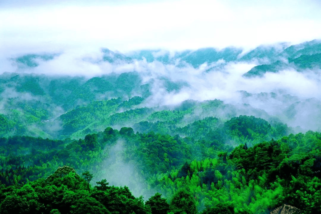 南岭九重山图片