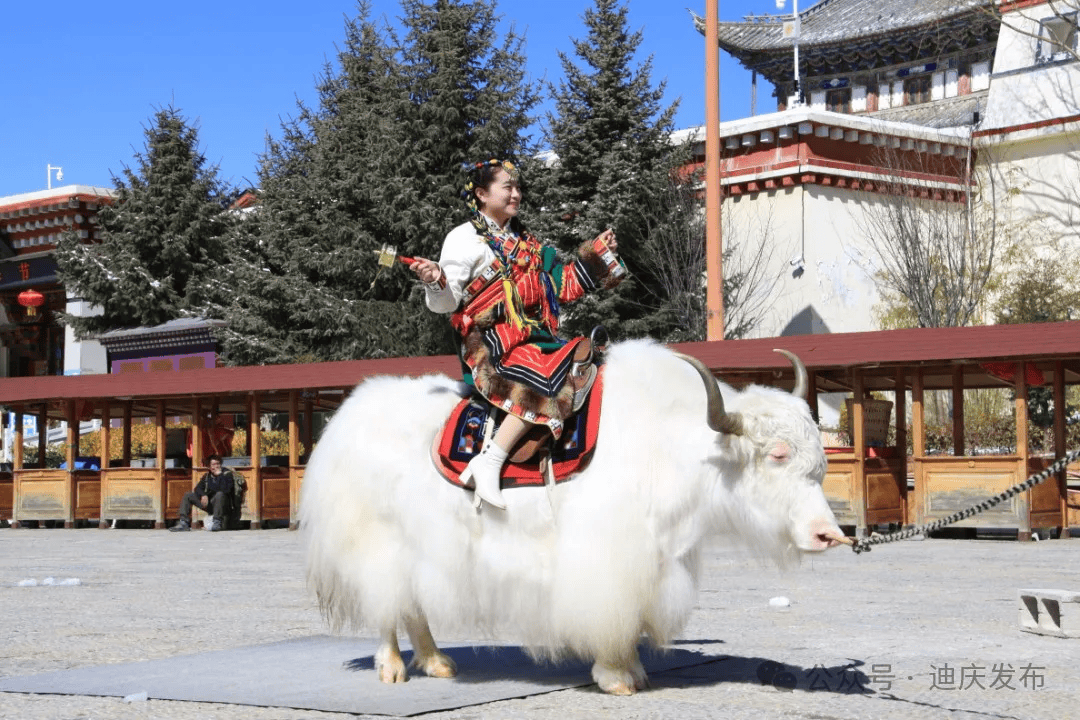 香格里拉旅拍:要美更要好