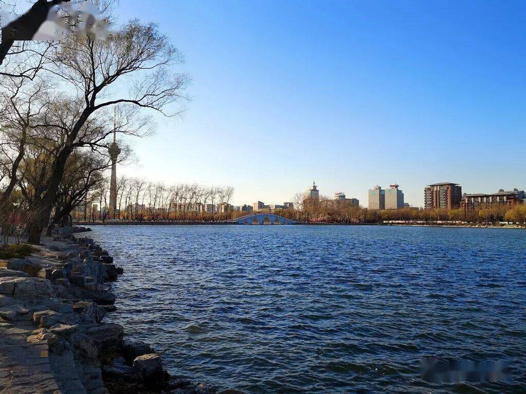 初春 玉渊潭_公园_湖泊_湖区