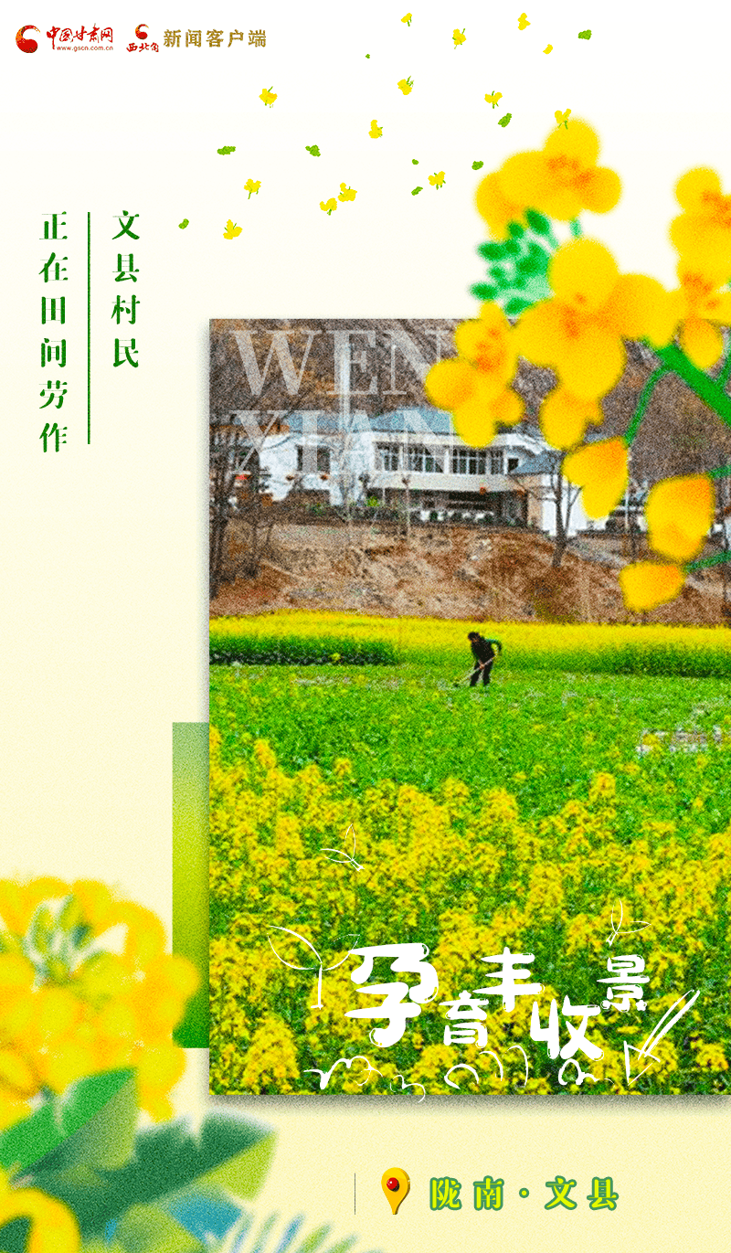 海报瞧甘肃春耕大片来了