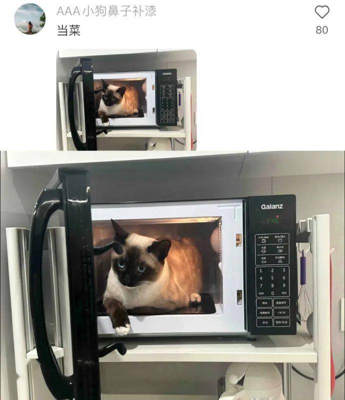 ctrl_陈正昊_支持