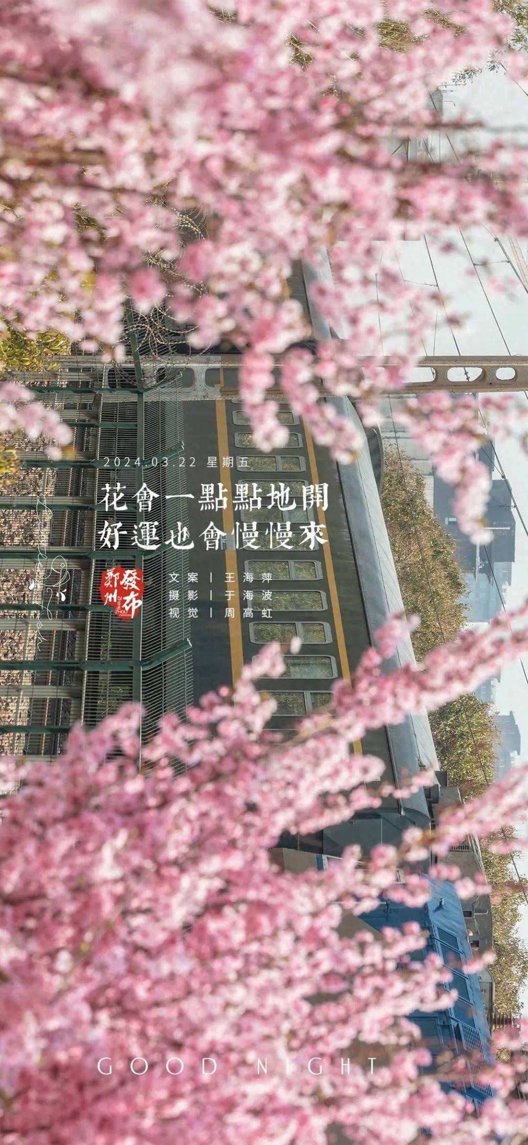 花会一点点地开，好运也会慢慢来丨晚安海报