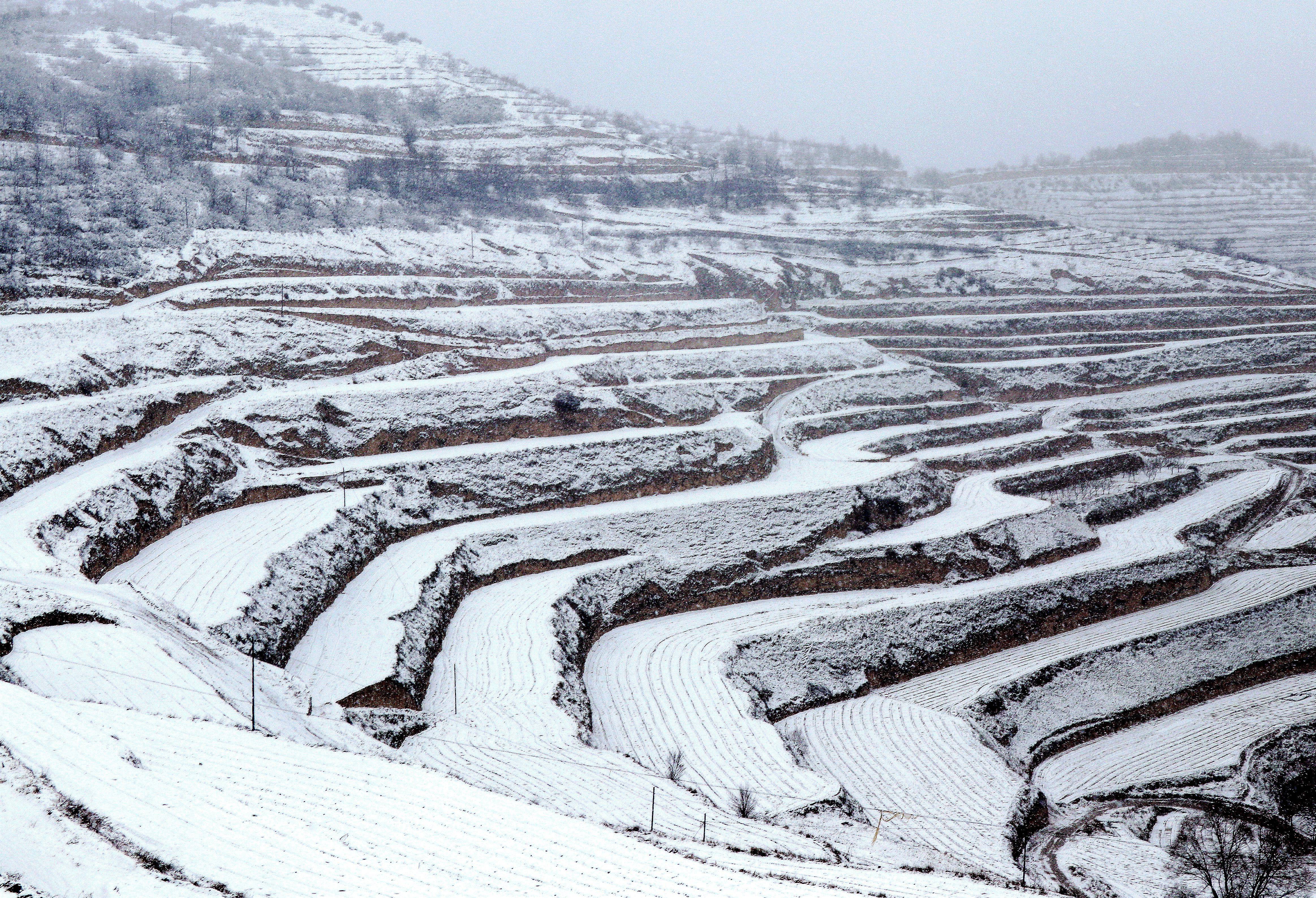 甘肃农村雪景图片图片