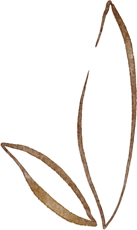 qdso演出预告雅乐惠民2024室内乐开幕音乐会值得期待