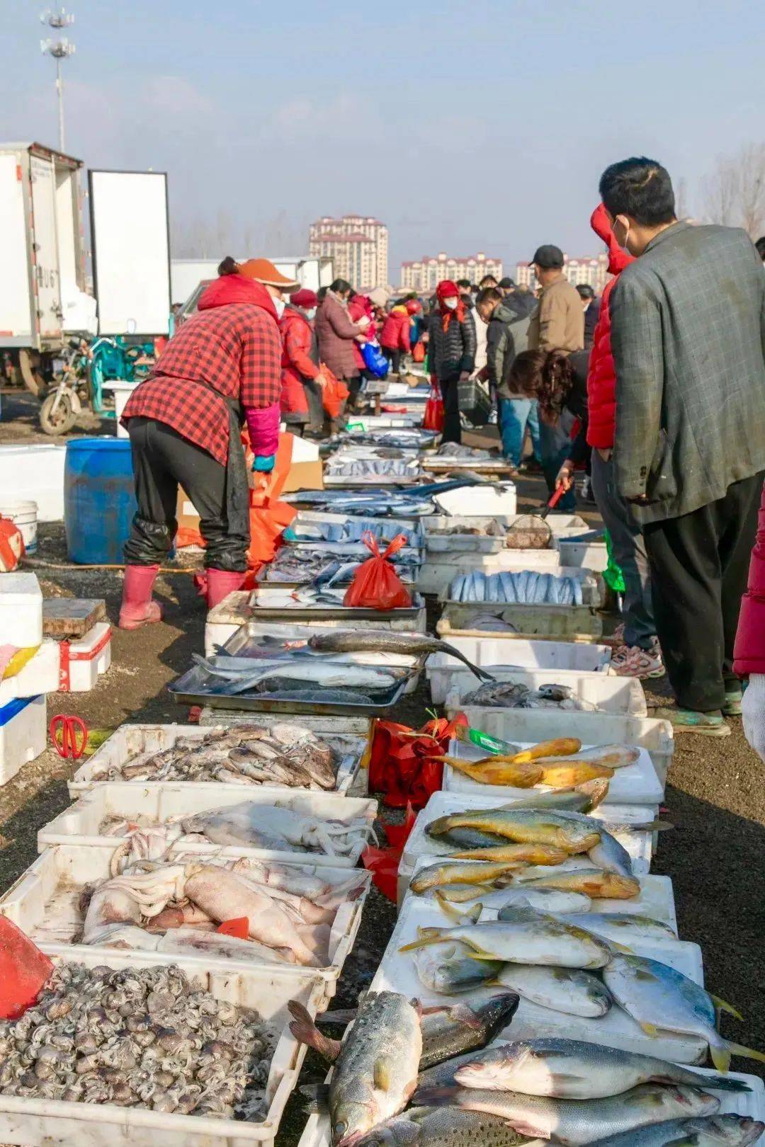 主打一个鲜字青岛西海岸海鲜烩饼申请出战