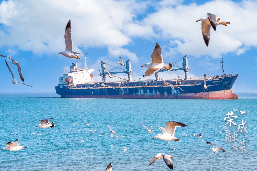 威海荣成8个网红打卡点,你去过几个_渔家_海驴岛_盐田