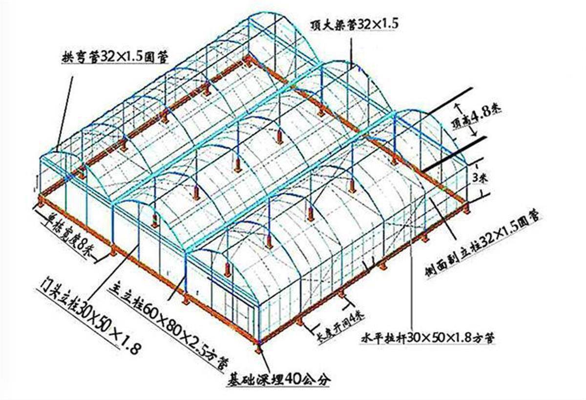 12米宽的大棚设计图图片