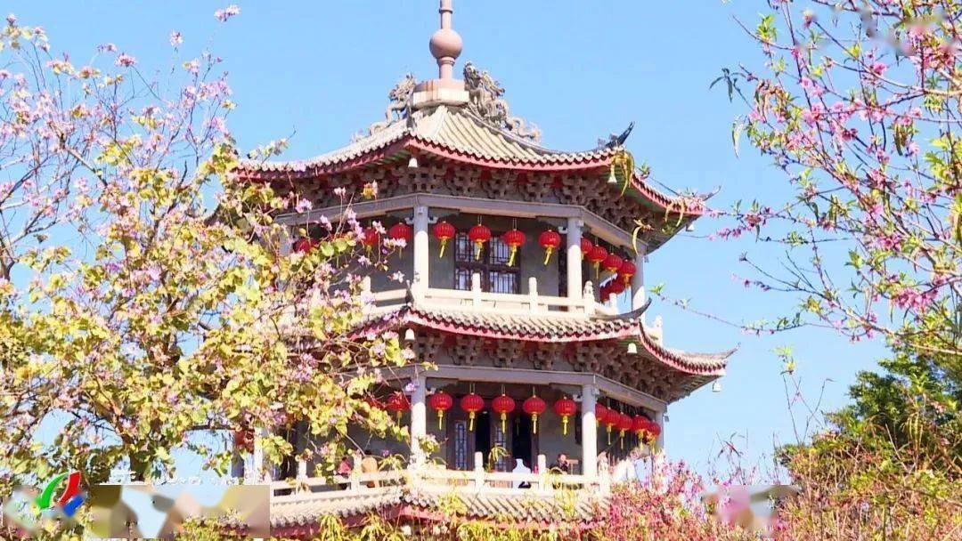 春有约,花不负!春游潮州,这份赏花指南请收好→_地点_风铃_春色