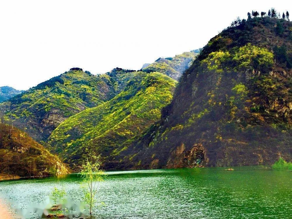 三门峡:这14条赏花线路不能错过