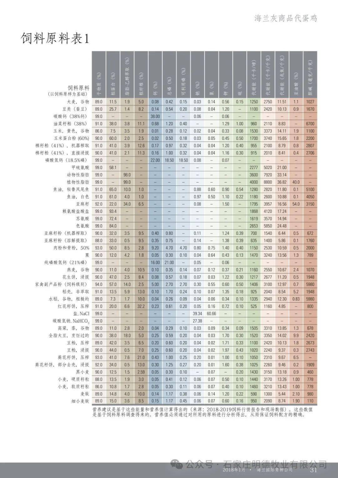 新海兰灰饲养管理手册图片