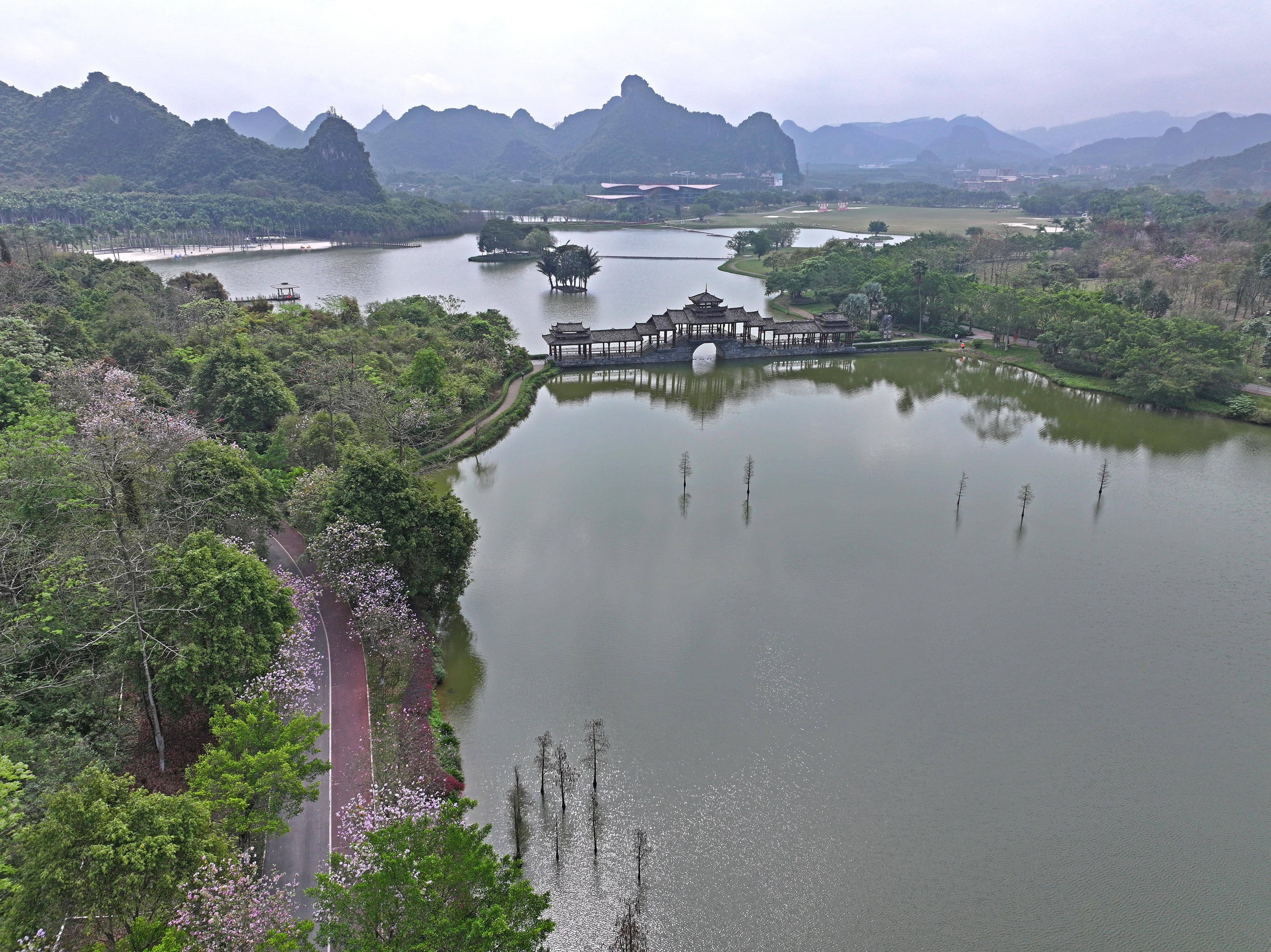 春回大地 风景美图片