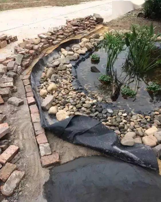 农村小院手把手教你怎么挖池塘省钱又实在