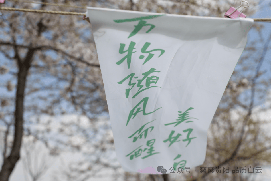 【爽爽贵阳 繁花似锦】花样生活·"樱"你精彩!白云区牛场乡举行第四届