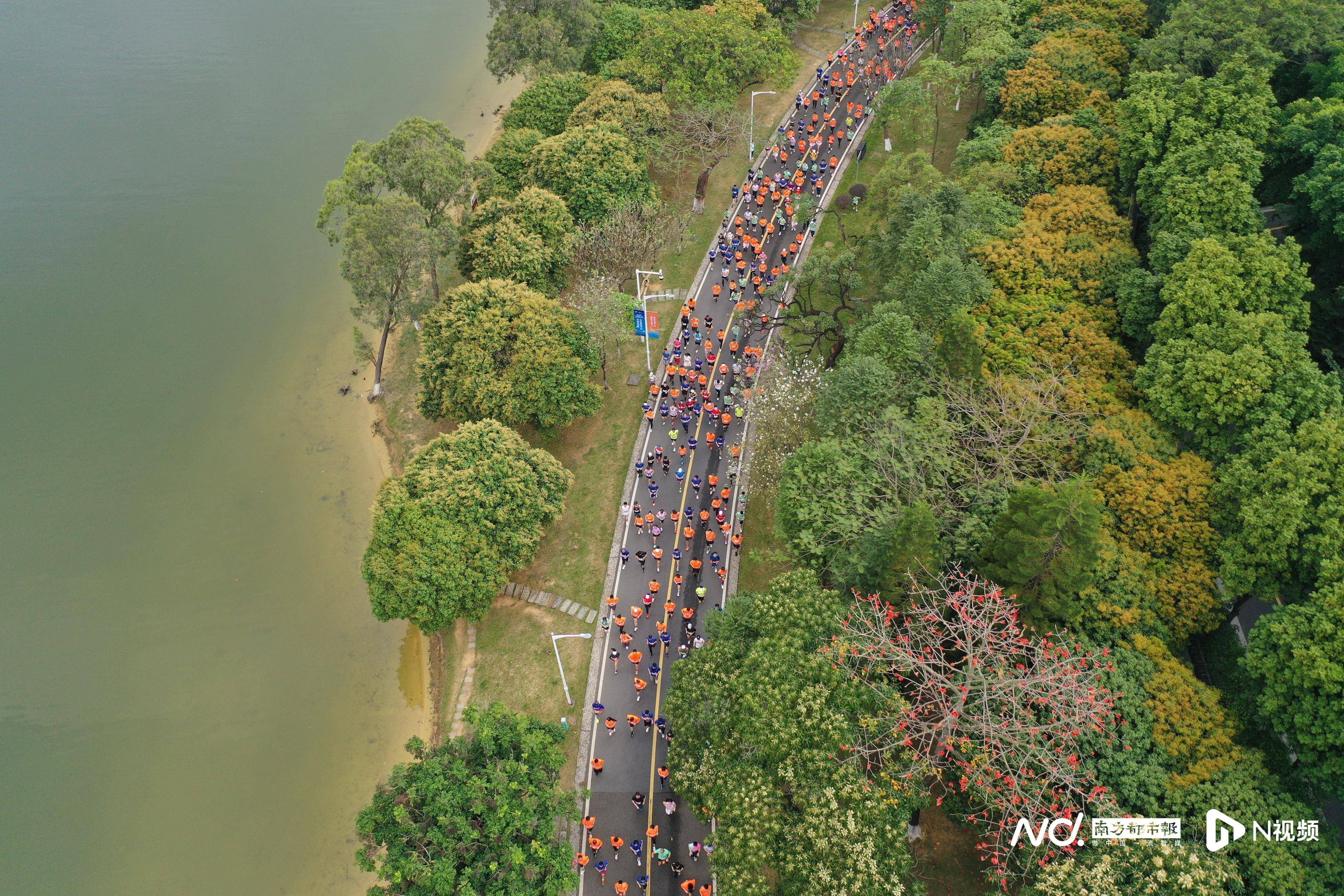 畅游最美赛道2024东莞松山湖科学城半程马拉松鸣枪开跑
