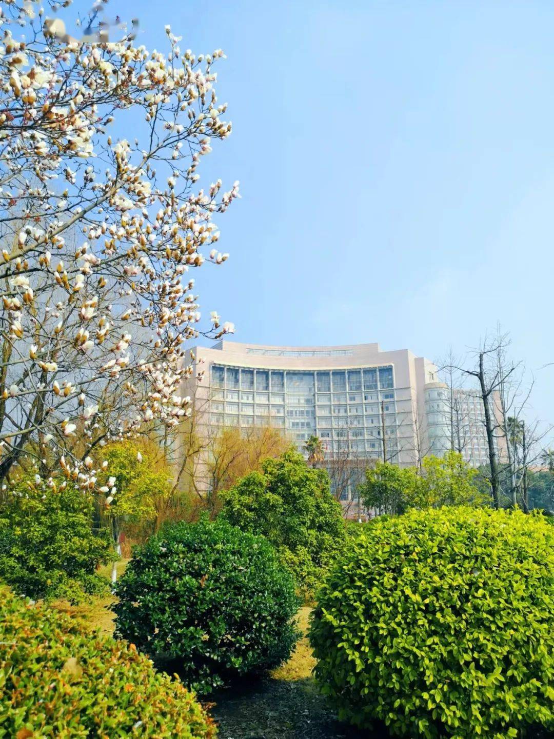 狠狠心动浙理校花登上了