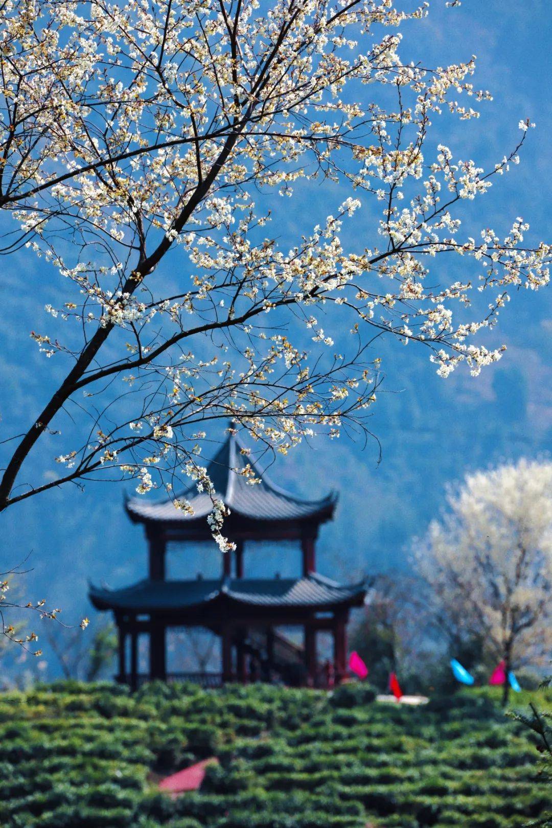 北川药王谷旅游攻略（北川羌族自治县药王谷） 北川药王谷旅游攻略（北川羌族自治县药王谷）《北川药王谷游览攻略》 旅游攻略