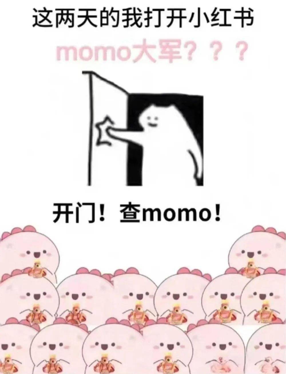 那个叫momo的人凭什么啥都能说