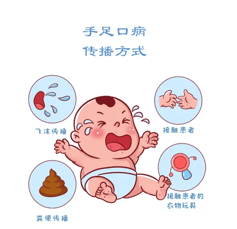 3.手足口病是如何传播的?从感染到出现症状约为2-10天,平均3-5天.