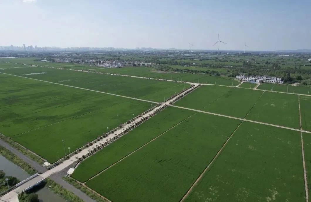 33万亩,是名副其实的"苏南粮仓",长三角地区重要的"米袋子",徐舍镇则