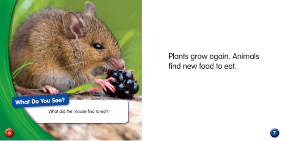 亲子共读绘本whatdoanimalsdoinspring动物春天做什么