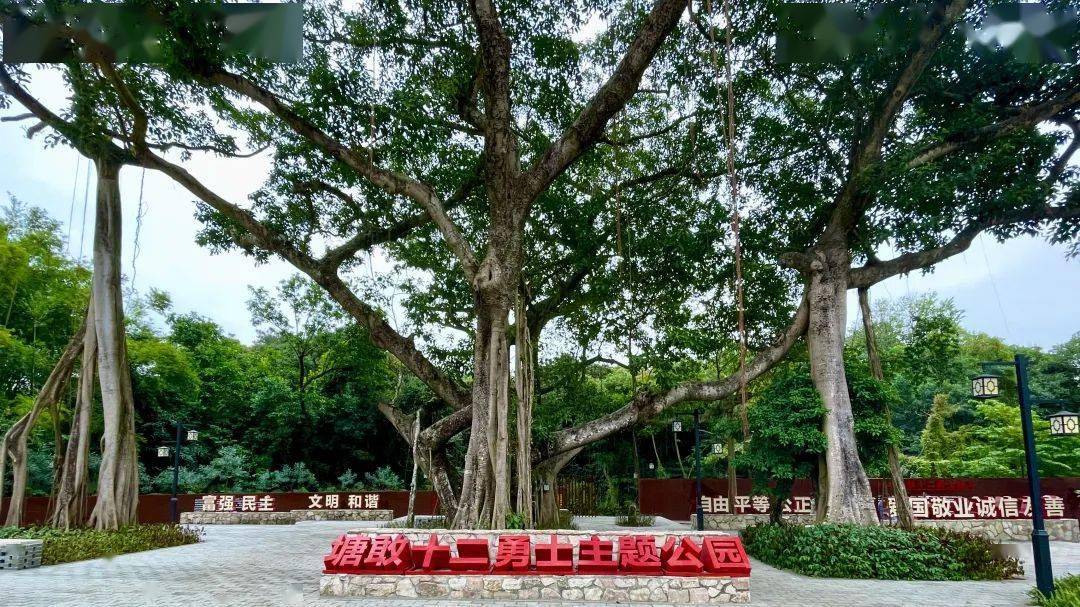 全国先进三乡上榜