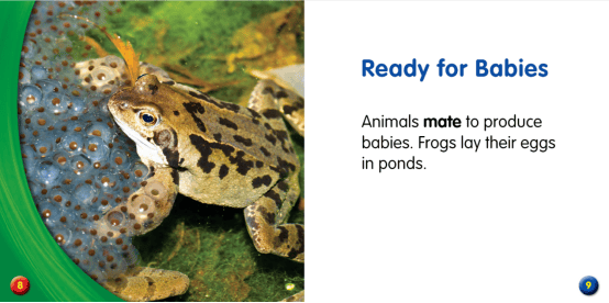 亲子共读绘本whatdoanimalsdoinspring动物春天做什么